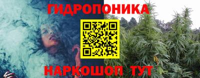 ALPHA PVP Аргун