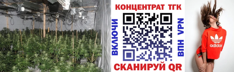 OMG как зайти  где найти наркотики  маркетплейс наркотические препараты  ТГК Wax  Беслан 
