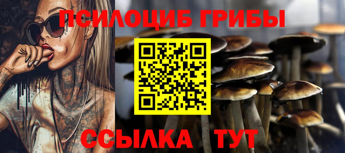 Галлюциногенные грибы GOLDEN TEACHER  Псилоцибиновые грибы Magic Shrooms  Вход с VPN  Беслан 