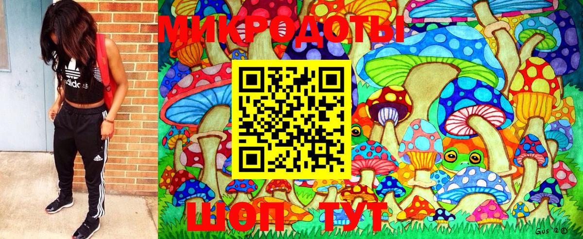 Галлюциногенные грибы прущие грибы  Беслан  что такое наркотик  Галлюциногенные грибы GOLDEN TEACHER 